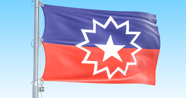 the flag of the state of texas flying in the wind.