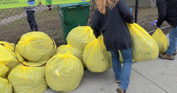 People gathering near a fence, holding large yellow trash bags and adding them to an existing pile of similar bags.