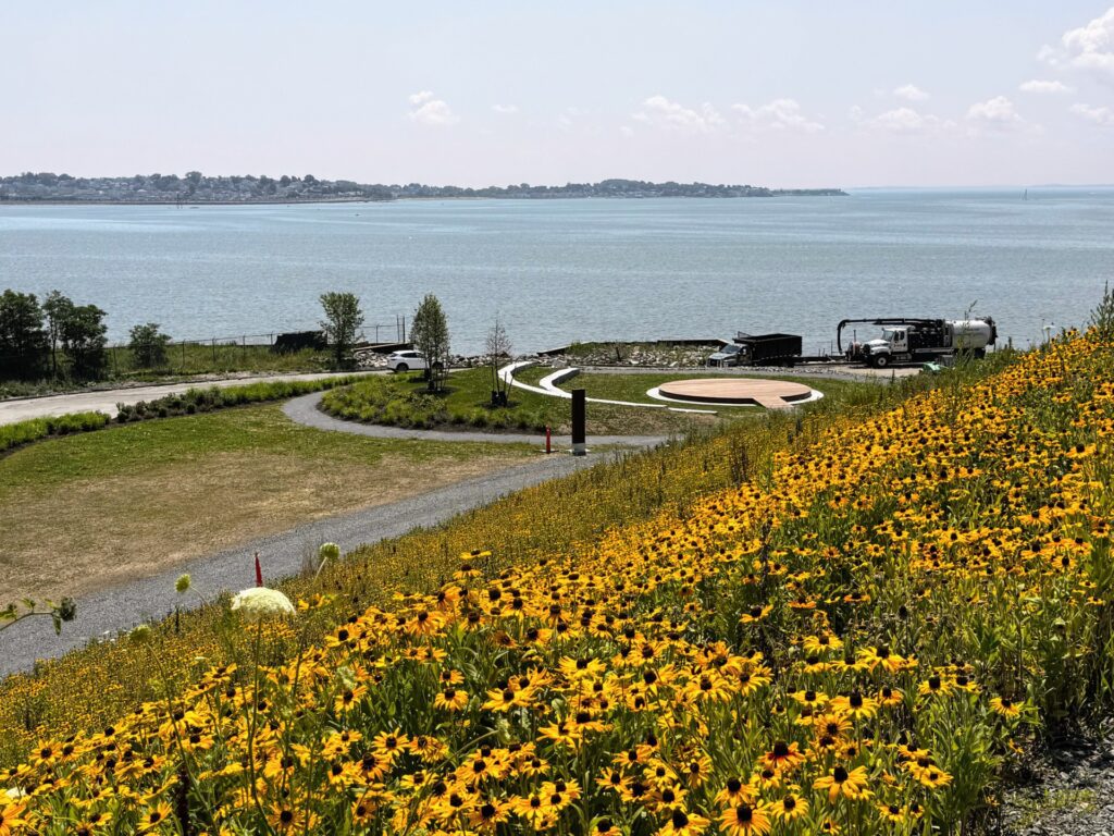 Certainly! Here’s a revised alt text, optimized for engagement, accessibility, and your brand voice: "Our hillside bursts with yellow and orange blooms above sparkling water, winding path, green lawn, and community gathering below.
