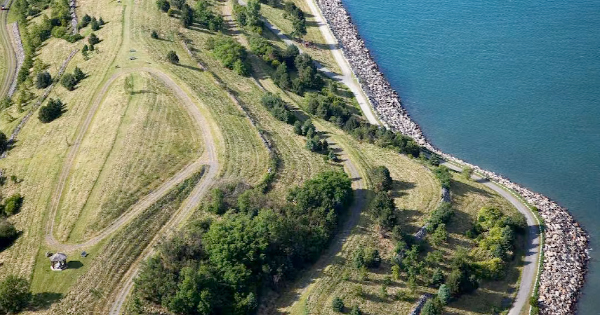 A vibrant Essex County parkland buzzes with curving paths, lively gatherings under leafy trees, and a rocky shoreline beside sparkling blue water.