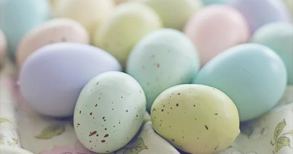 A vibrant cluster of pastel eggs, speckled and colorful, gathered close to celebrate creativity and unity in Essex County.