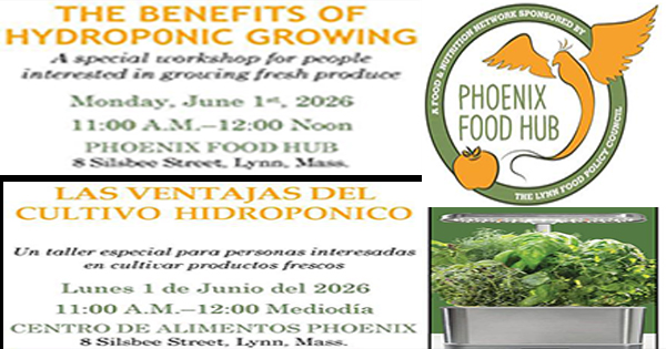 A bilingual flyer for a hydroponic growing workshop, with details in English and Spanish, including date, time, location at Phoenix Food Hub, and images of greens and the organizer's logo.