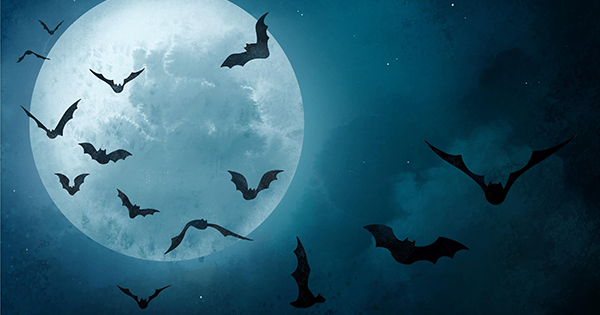 A flock of bats flying in front of a large, glowing full moon against a dark blue sky.